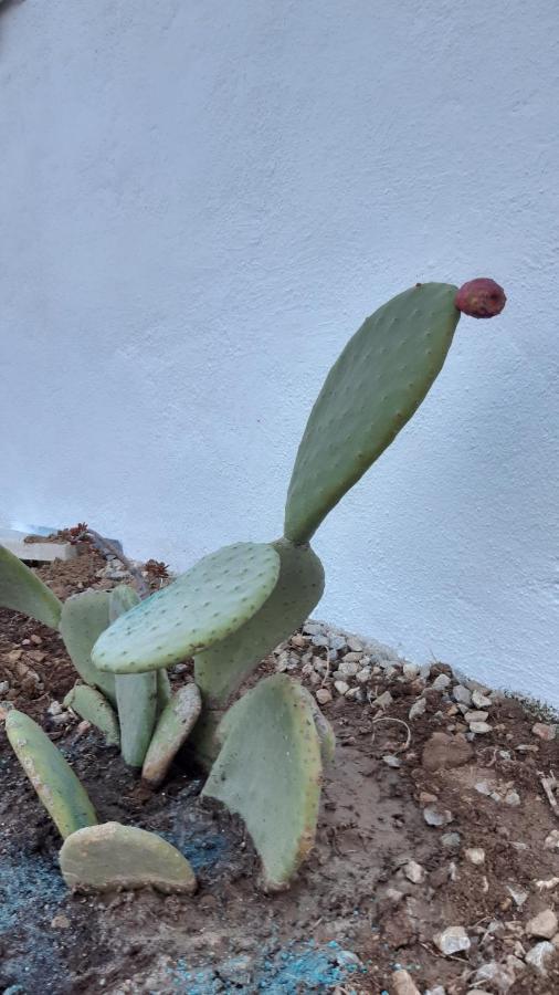 Fortina Mykonos House Klouvas エクステリア 写真